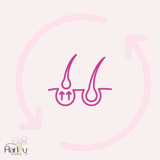 How To Teach Waxing Clients About The Hair Growth Cycle + How It Can Help Your Business with Harley Waxing - Harley Waxing