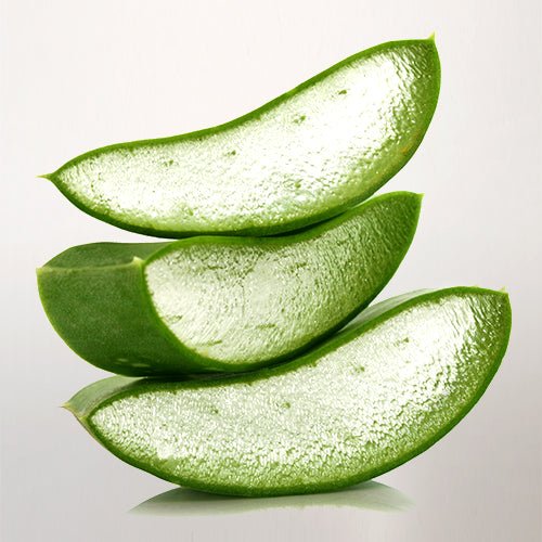 Aloe Hard Wax (Buy 5 - Get 1 Free) - Harley Waxing