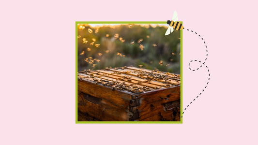 Unlocking Natural Beauty: A Journey of African Bees  & Organic Beeswax to superior high-quality Harley Waxing products.